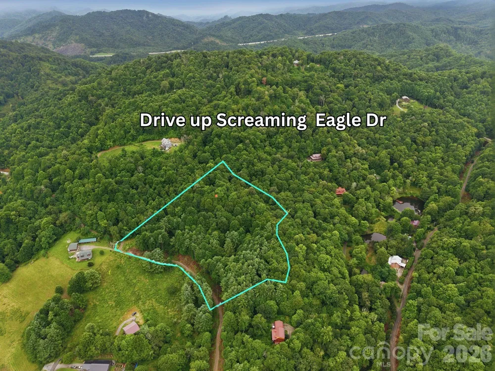 220 Screaming Eagle Drive Mars Hill, NC 28754