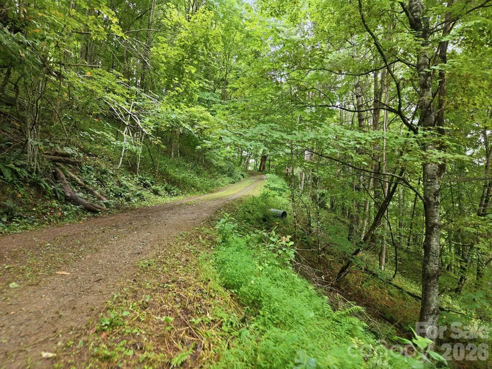 220 Screaming Eagle Drive Mars Hill, NC 28754