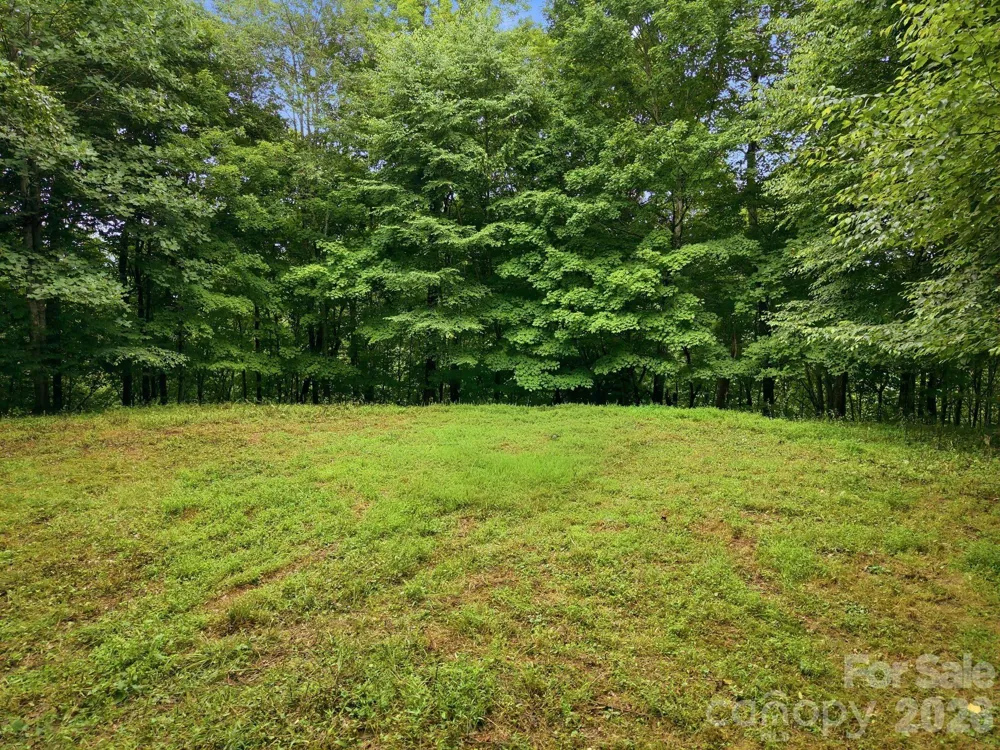 220 Screaming Eagle Drive Mars Hill, NC 28754