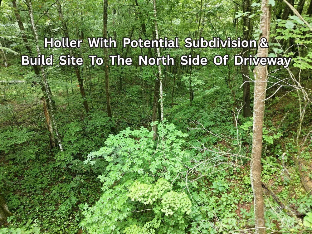 220 Screaming Eagle Drive Mars Hill, NC 28754