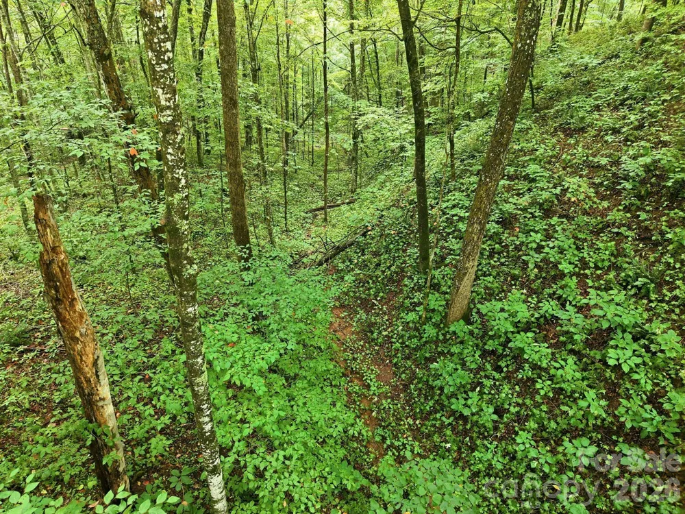 220 Screaming Eagle Drive Mars Hill, NC 28754