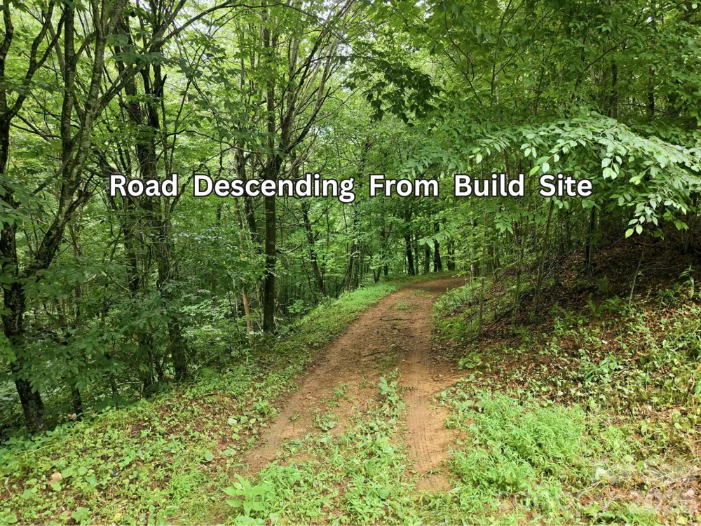 220 Screaming Eagle Drive Mars Hill, NC 28754