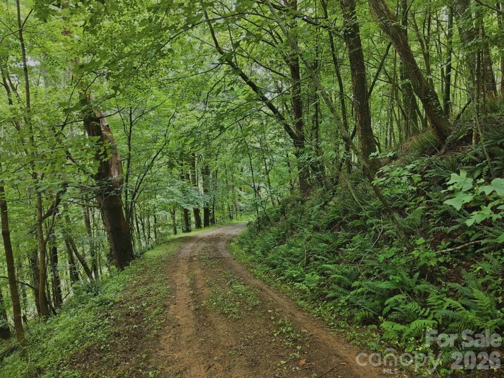 220 Screaming Eagle Drive Mars Hill, NC 28754