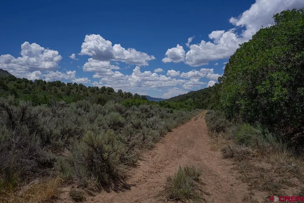 3279 County Road 237 Durango, CO 81301