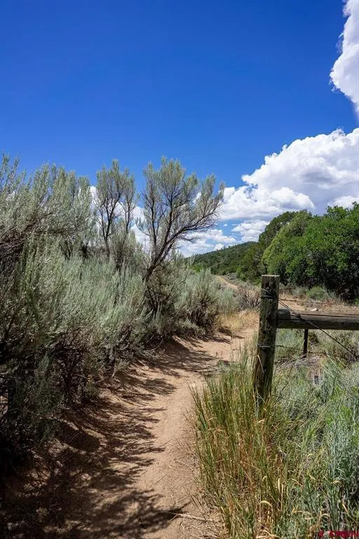 3279 County Road 237 Durango, CO 81301
