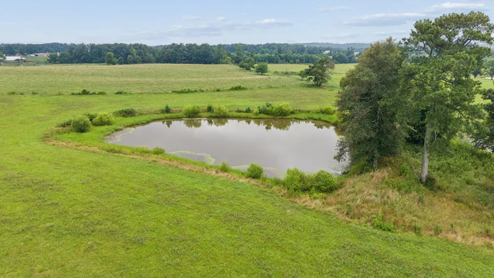 4431 Riggs Road Pikeville, TN 37367