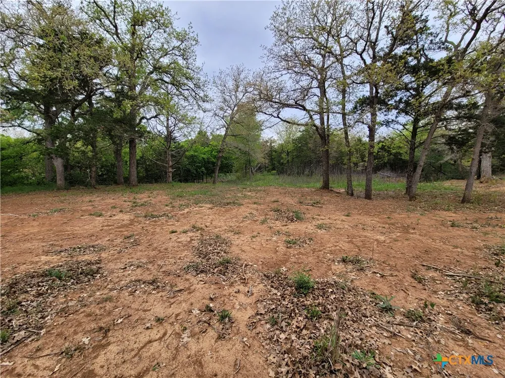 160 Arbor Hill Way Cedar Creek, TX 78612