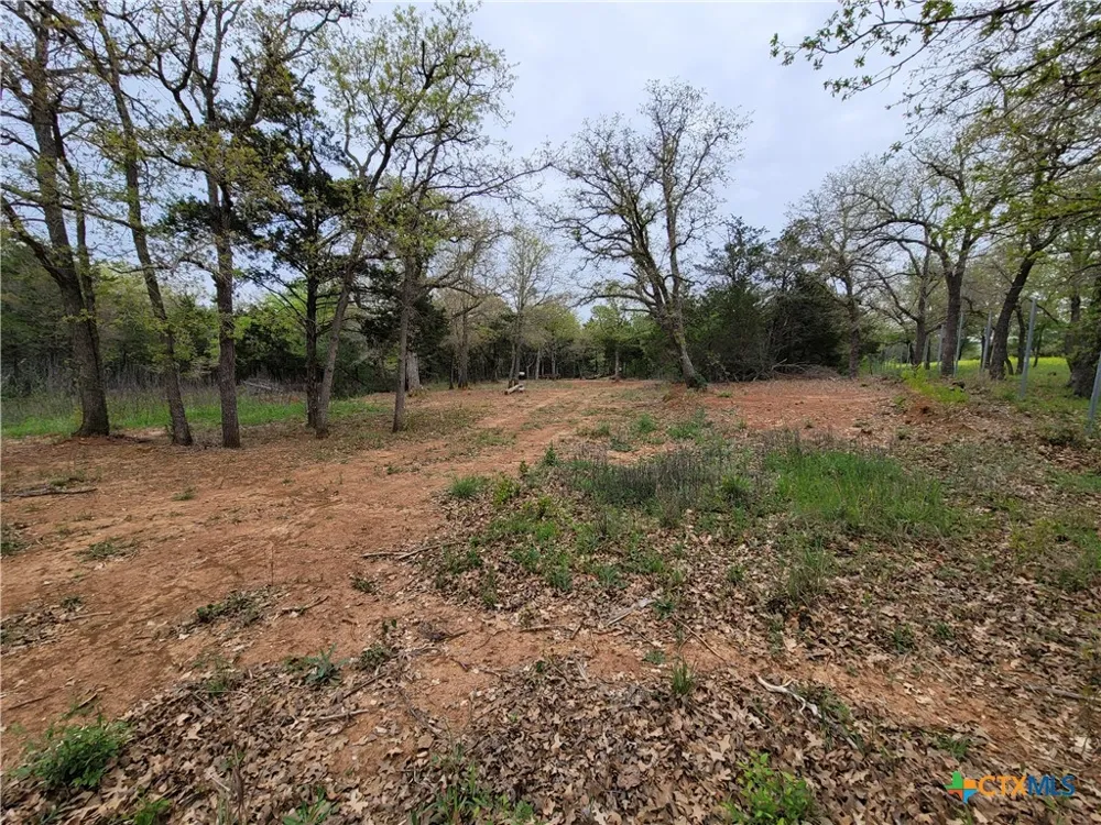 160 Arbor Hill Way Cedar Creek, TX 78612