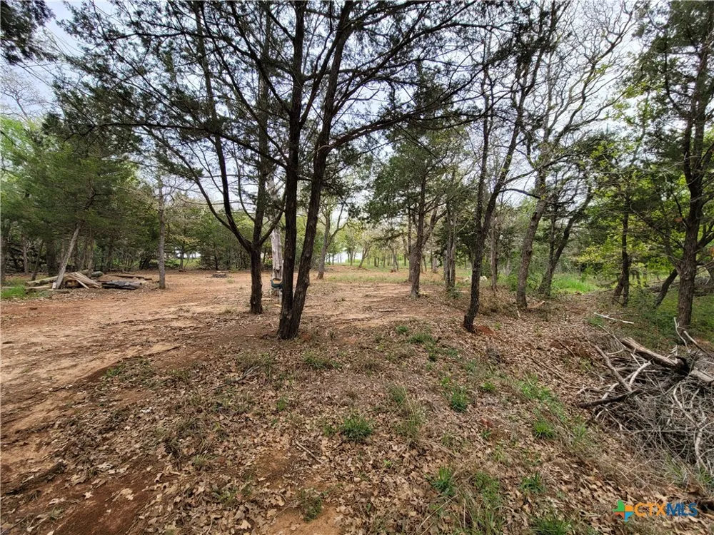 160 Arbor Hill Way Cedar Creek, TX 78612