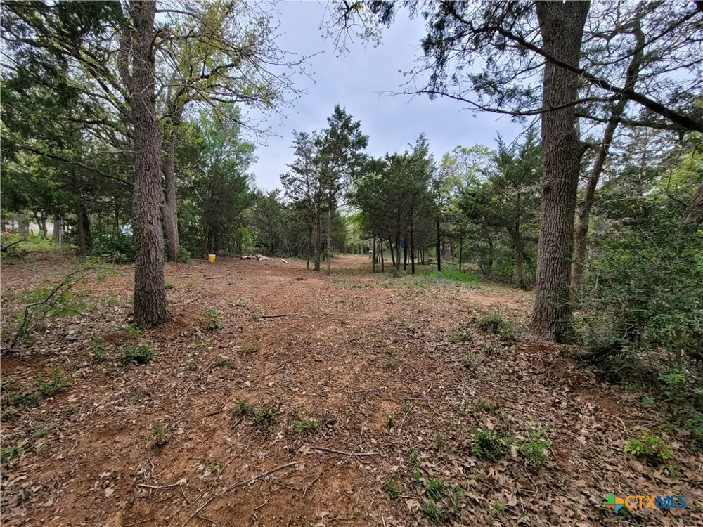 160 Arbor Hill Way Cedar Creek, TX 78612