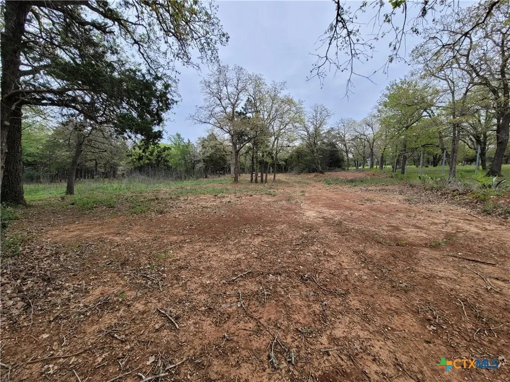 160 Arbor Hill Way Cedar Creek, TX 78612