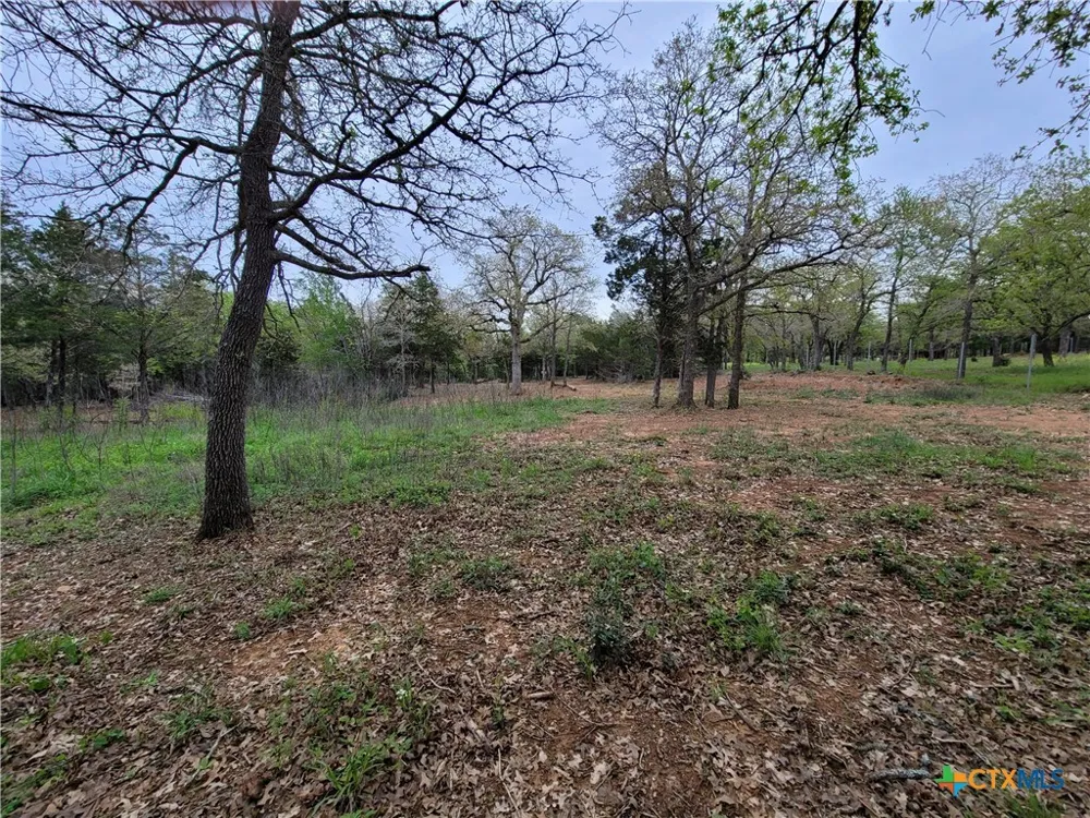 160 Arbor Hill Way Cedar Creek, TX 78612
