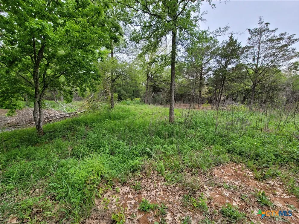 160 Arbor Hill Way Cedar Creek, TX 78612