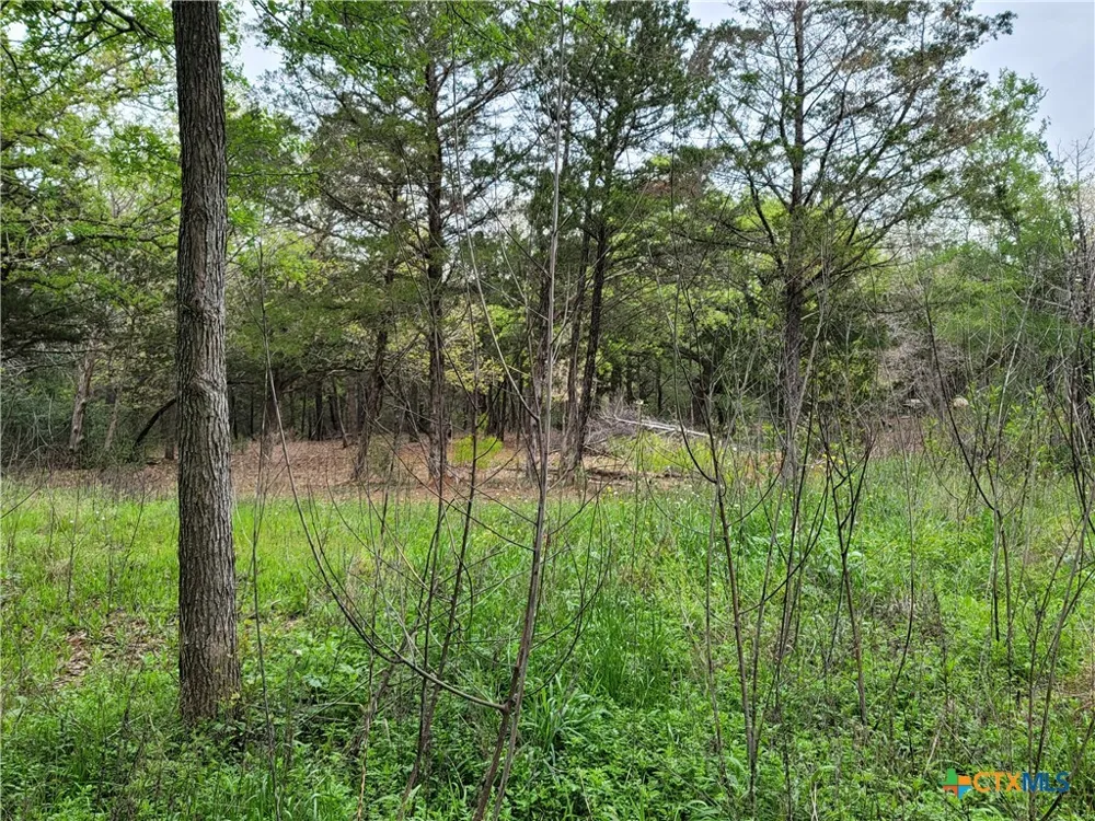 160 Arbor Hill Way Cedar Creek, TX 78612