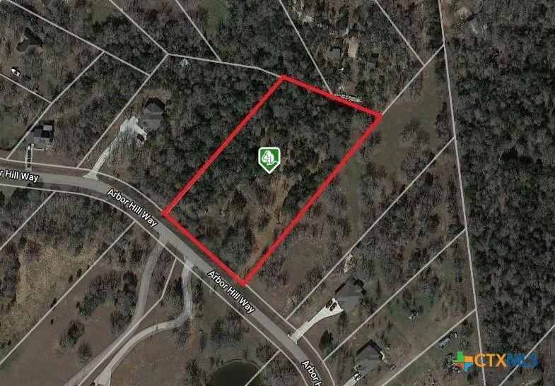 160 Arbor Hill Way Cedar Creek, TX 78612