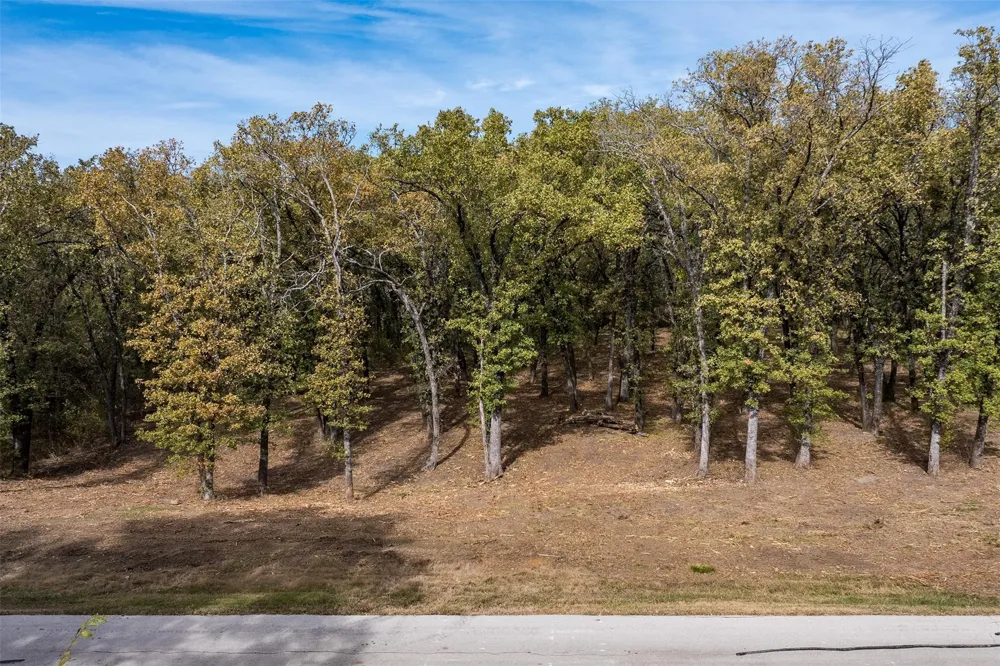 8375 Southern Shore Court Kemp, TX 75143