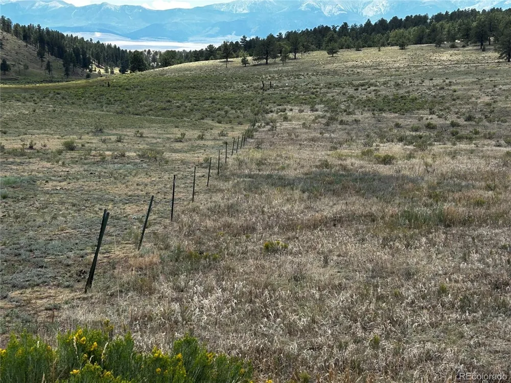 525 County Road 321 Westcliffe, CO 81252