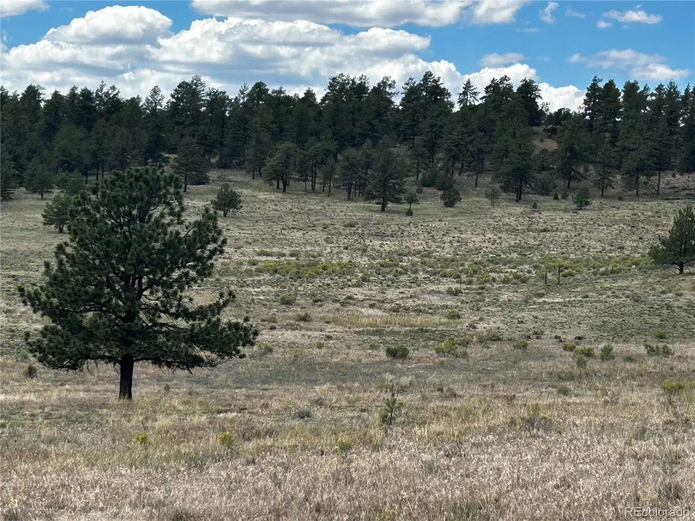 525 County Road 321 Westcliffe, CO 81252