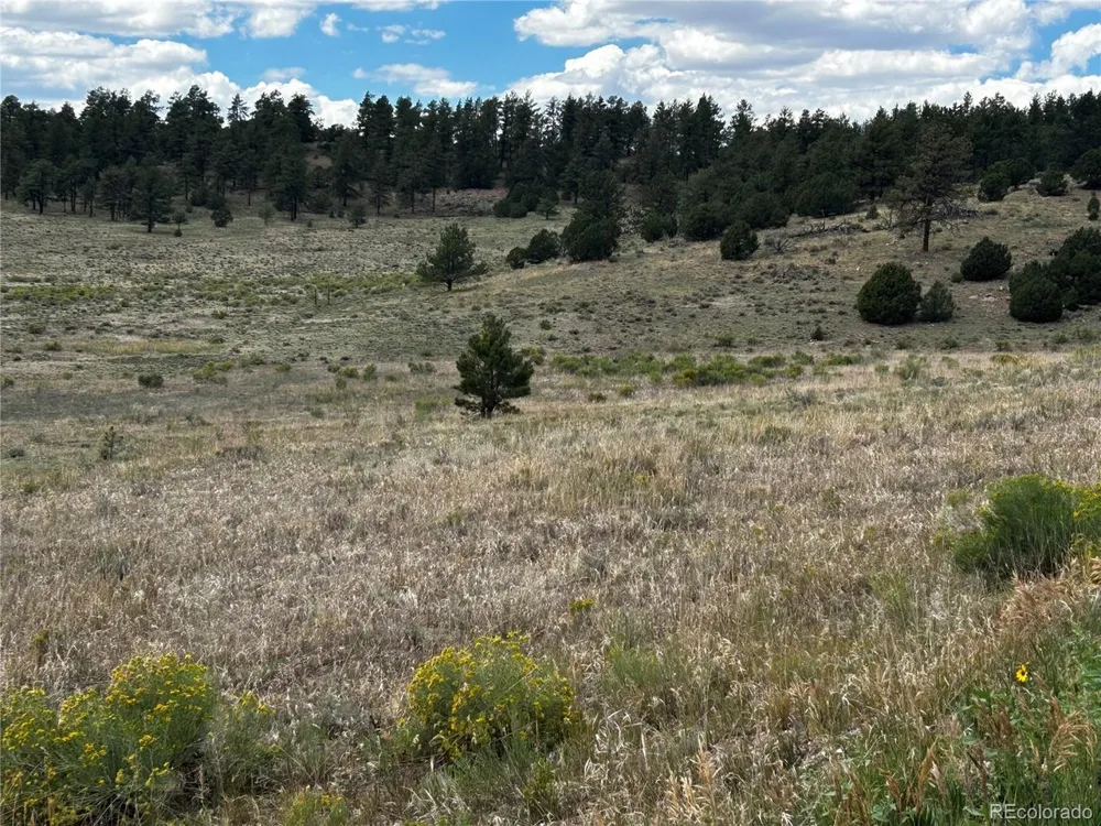 525 County Road 321 Westcliffe, CO 81252
