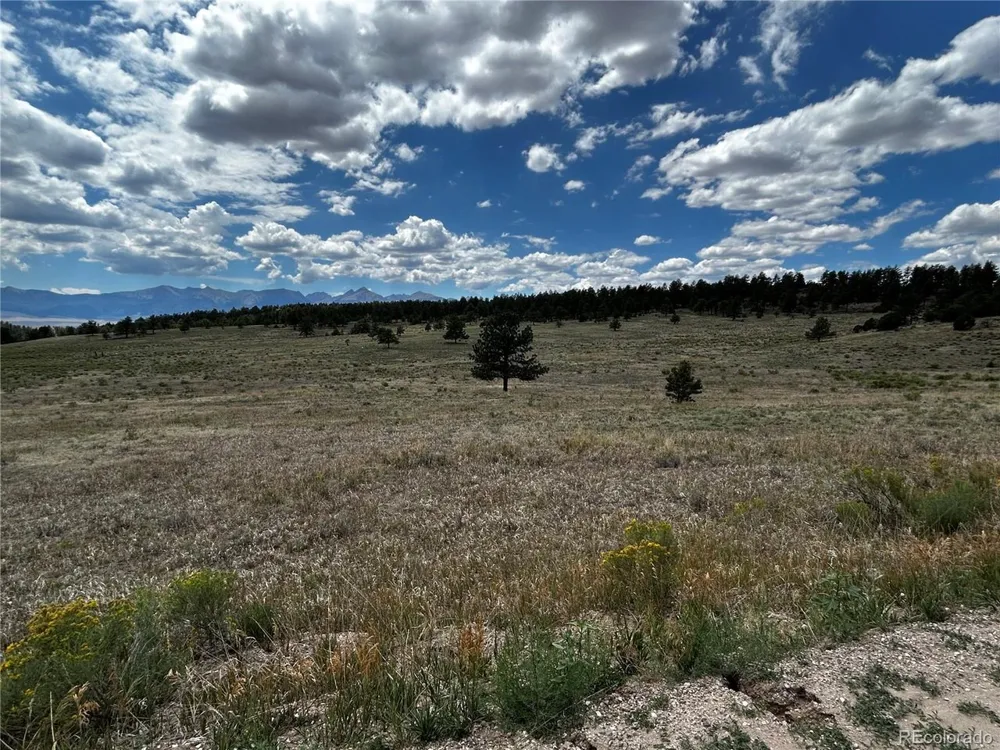 525 County Road 321 Westcliffe, CO 81252