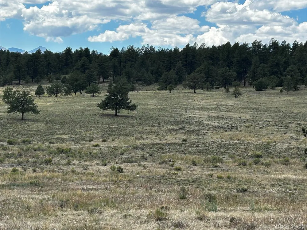 525 County Road 321 Westcliffe, CO 81252