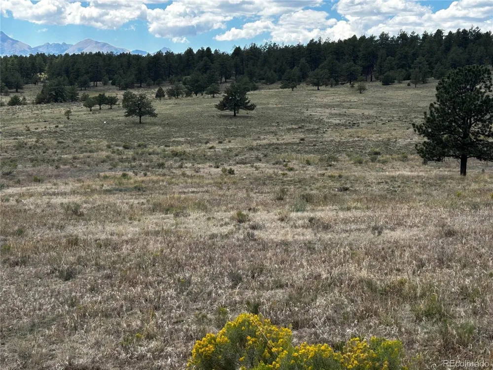 525 County Road 321 Westcliffe, CO 81252