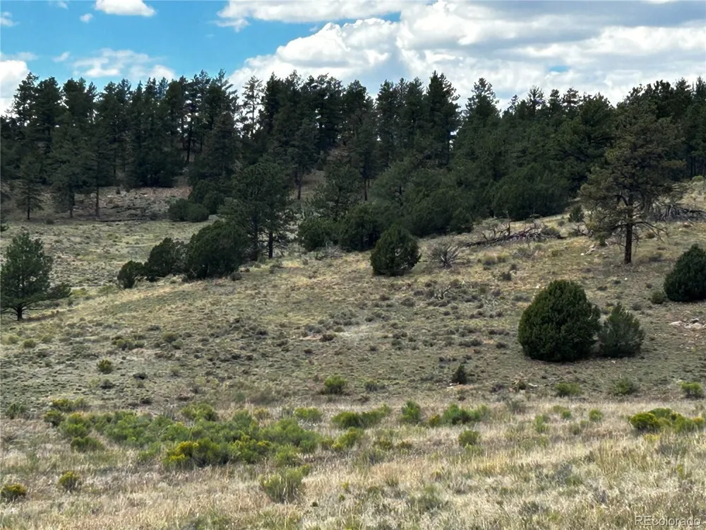 525 County Road 321 Westcliffe, CO 81252