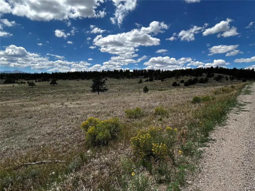 525 County Road 321 Westcliffe, CO 81252