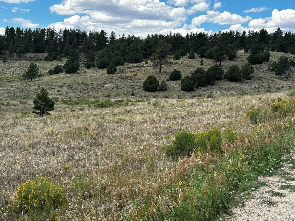 525 County Road 321 Westcliffe, CO 81252