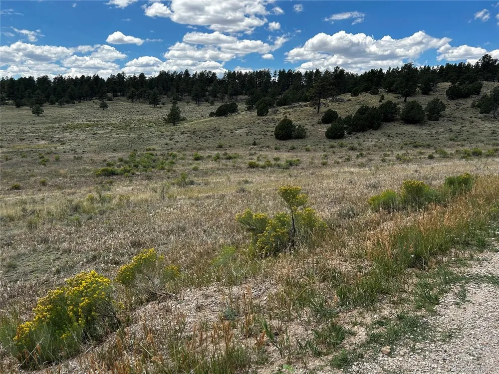 525 County Road 321 Westcliffe, CO 81252