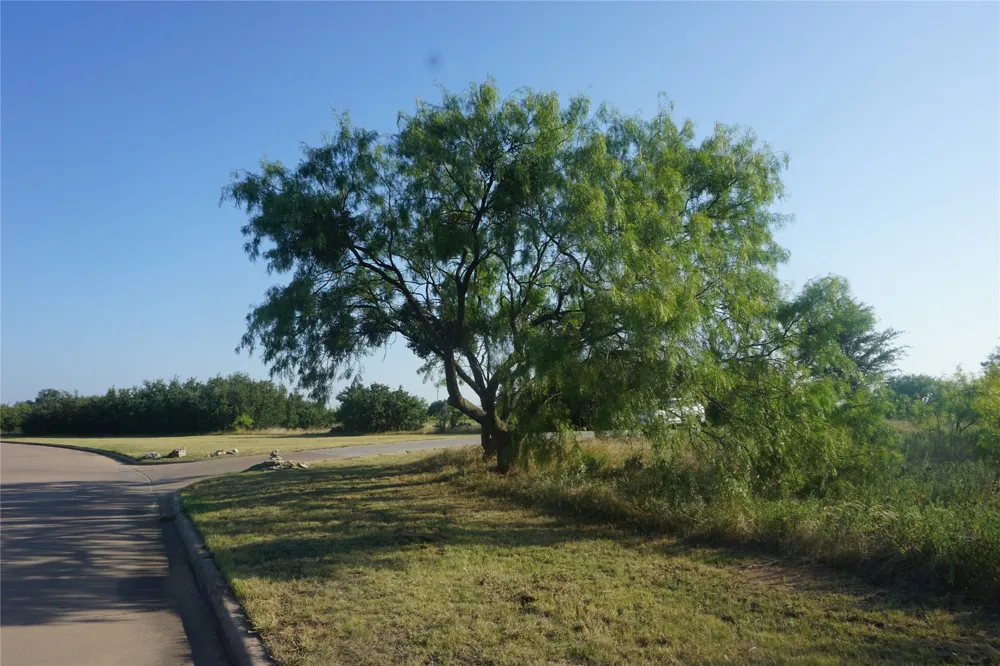 Spyglass Drive Possum Kingdom Lake, TX 76449