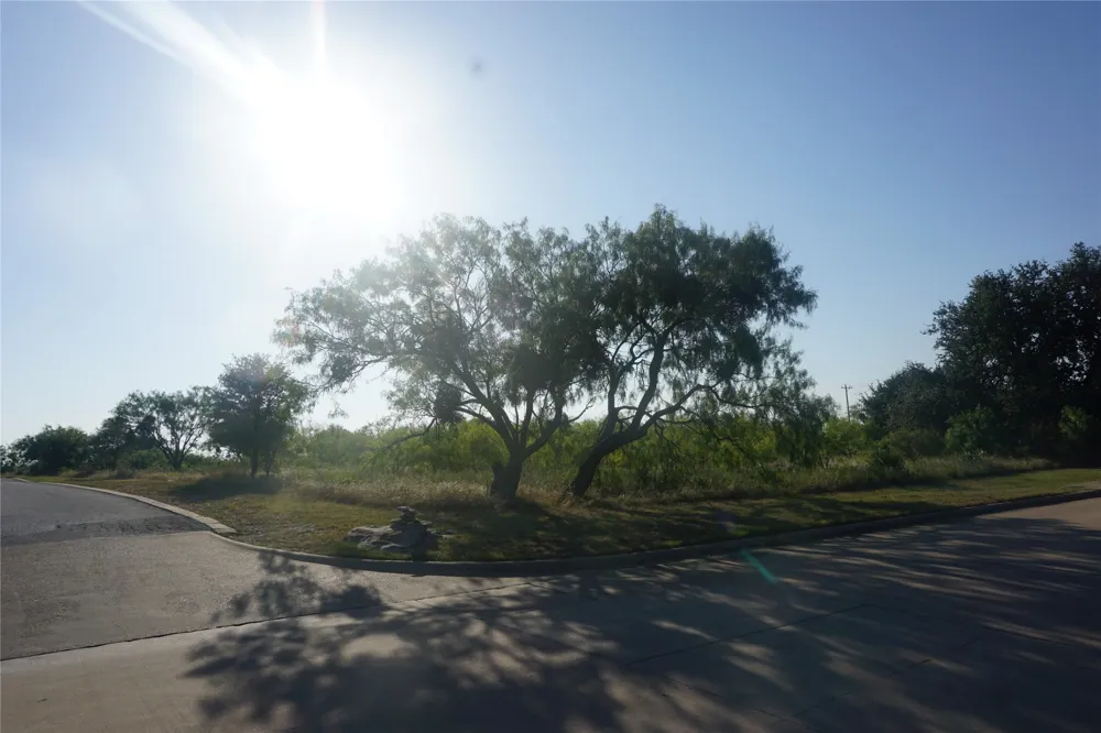 Spyglass Drive Possum Kingdom Lake, TX 76449
