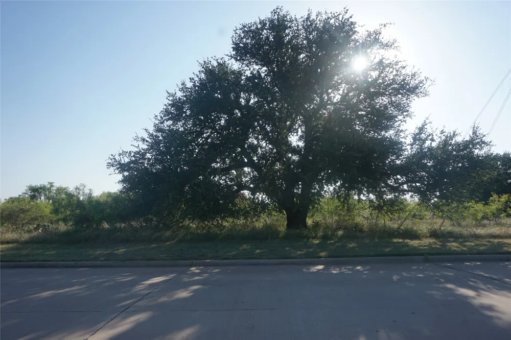Spyglass Drive Possum Kingdom Lake, TX 76449