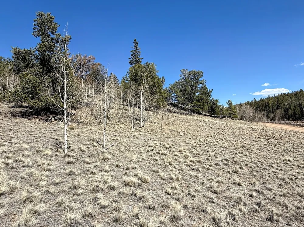 622 Longbow Drive Jefferson, CO 80456