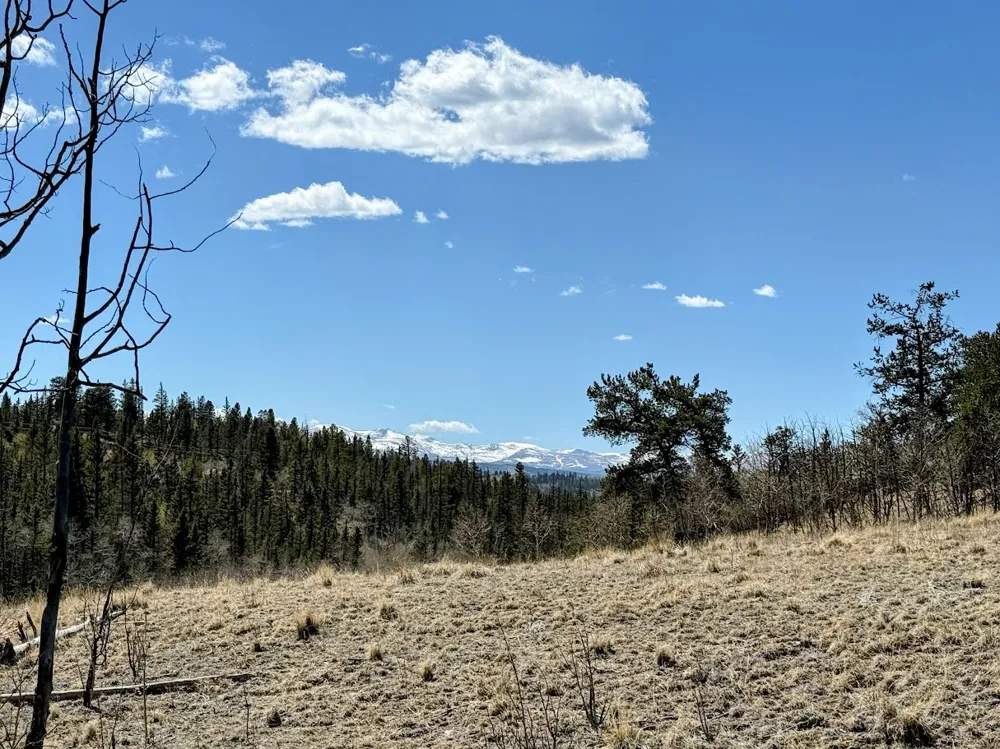 622 Longbow Drive Jefferson, CO 80456