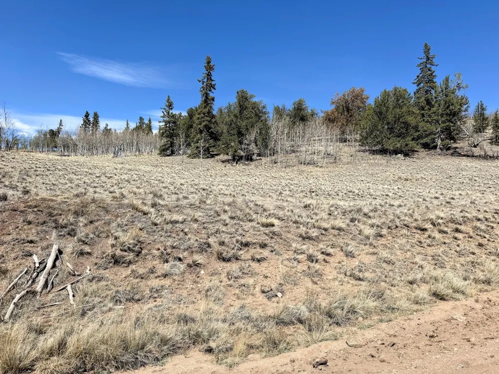 622 Longbow Drive Jefferson, CO 80456