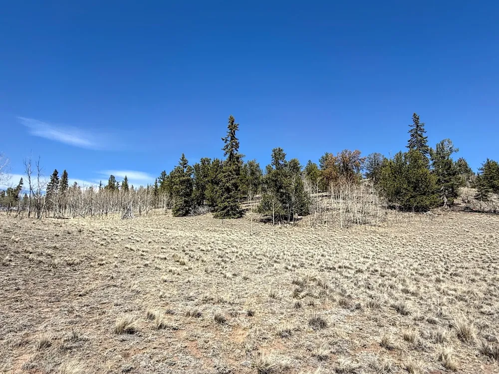 622 Longbow Drive Jefferson, CO 80456