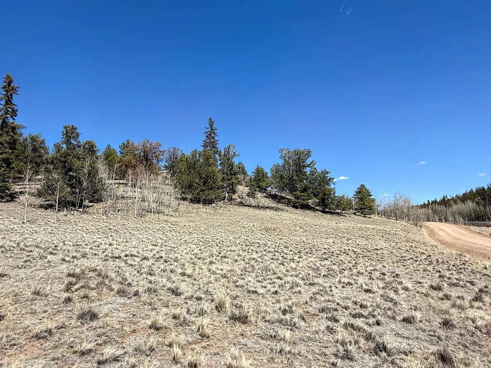 622 Longbow Drive Jefferson, CO 80456