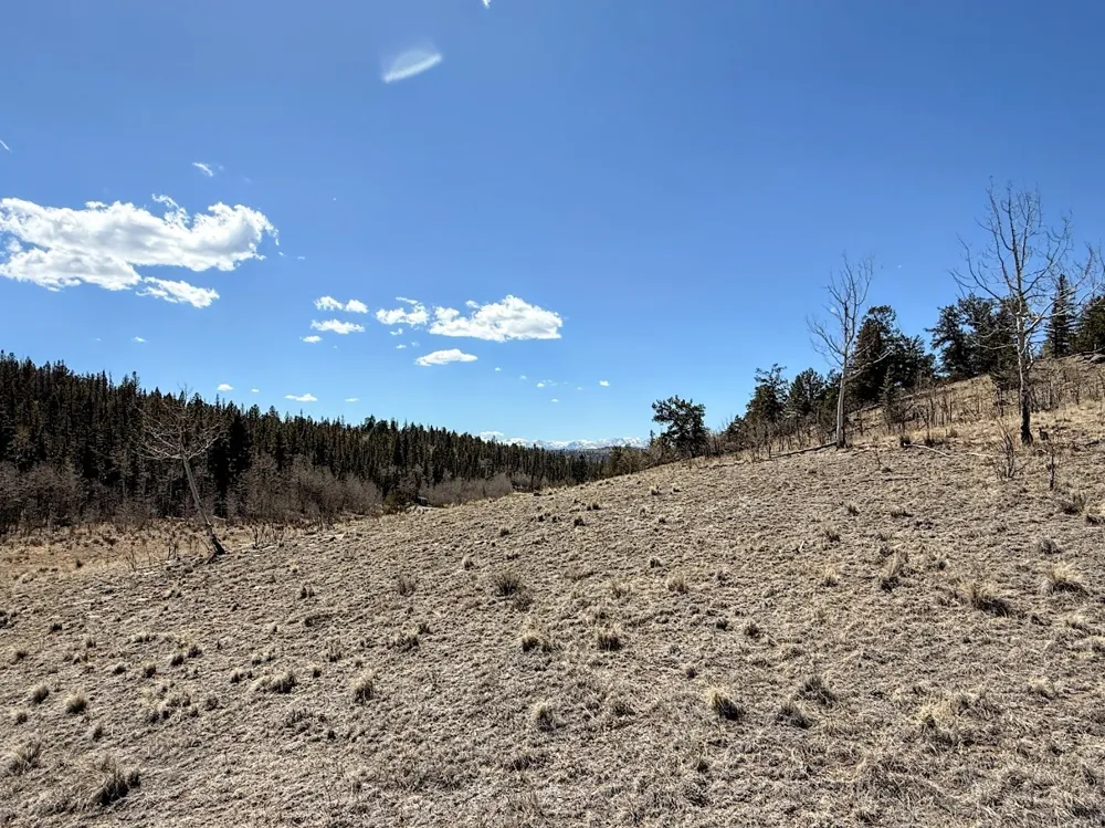 622 Longbow Drive Jefferson, CO 80456