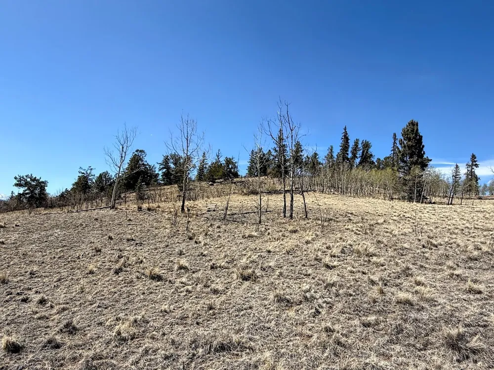 622 Longbow Drive Jefferson, CO 80456