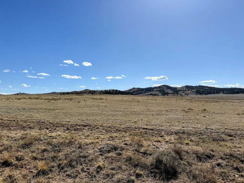 Chickasaw Road Hartsel, CO 80449