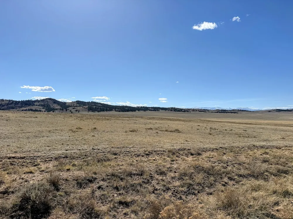 Chickasaw Road Hartsel, CO 80449