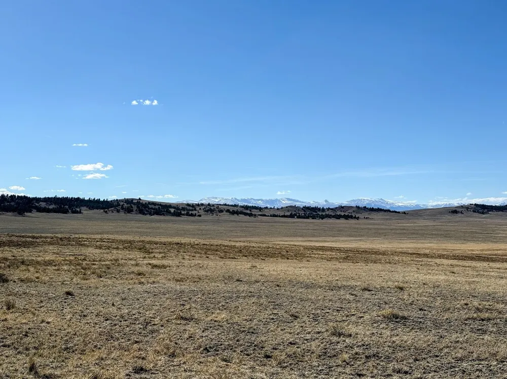 Chickasaw Road Hartsel, CO 80449