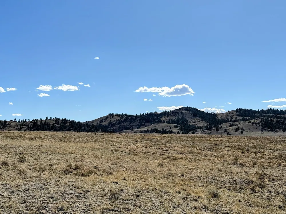 Chickasaw Road Hartsel, CO 80449
