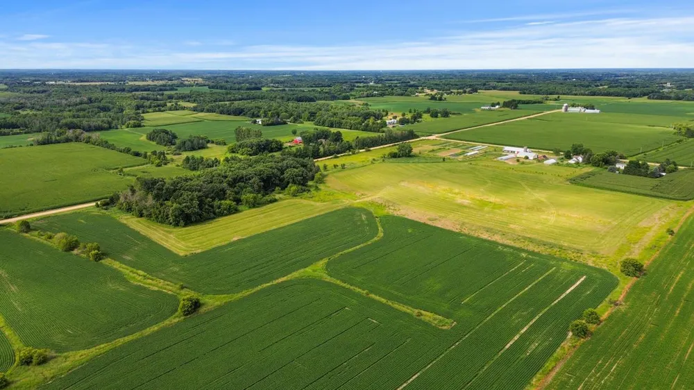TBD 350th Street Shafer, MN 55074