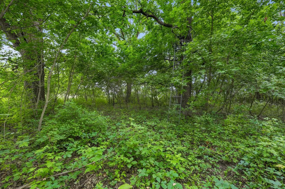 TBD 350th Street Shafer, MN 55074