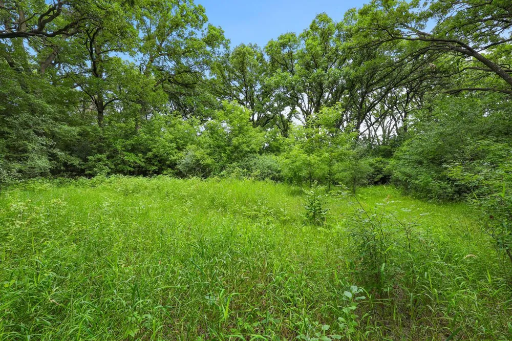 TBD 350th Street Shafer, MN 55074