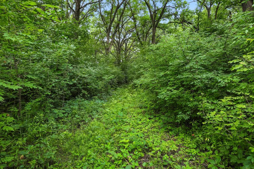 TBD 350th Street Shafer, MN 55074