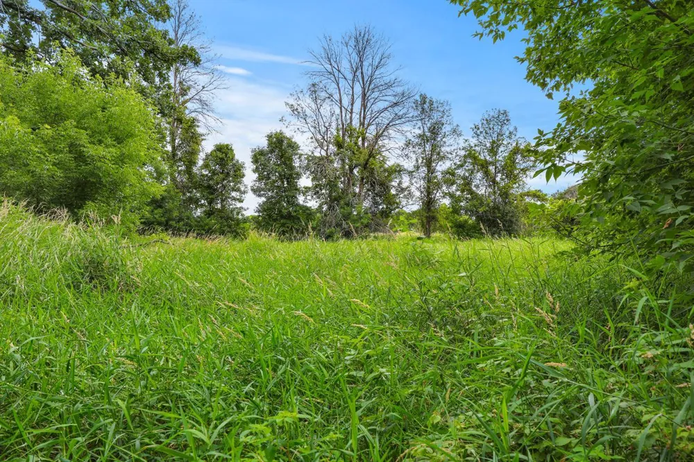 TBD 350th Street Shafer, MN 55074