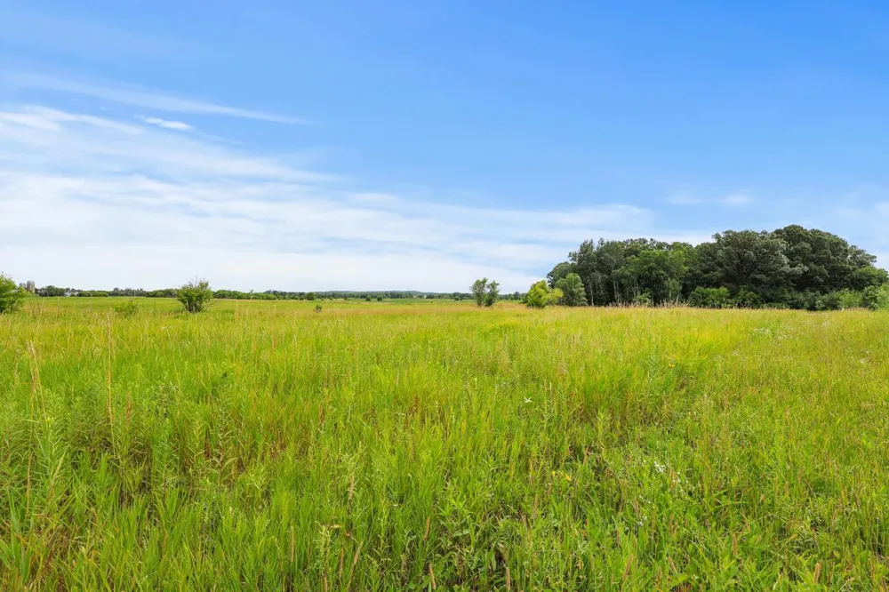 TBD 350th Street Shafer, MN 55074